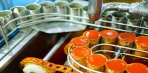 خط إنتاج المعلبات الغذائية (خضار، فاصوليا، طماطم)