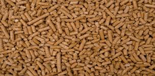 مشروع لإنتاج الأعلاف الخالية من المواد الكيميائية