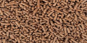 دراسة جدوى لتصنيع الأعلاف باستخدام مكونات محلية